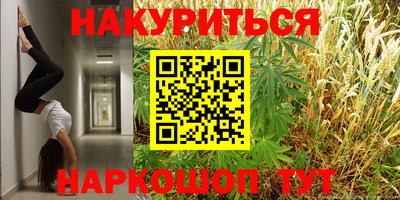 дмт Севастополь