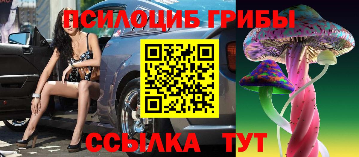 Галлюциногенные грибы Cubensis Ртищево